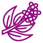 Icon-Lungenfibrose